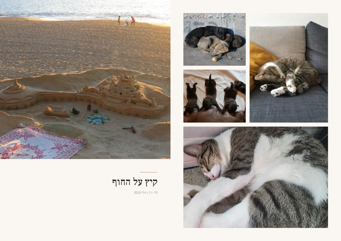 הדמיה של כפולת עמודים מאלבום לדוגמה: עמודים 26 ו־27 · החברים על ארבע / קיץ על החוף